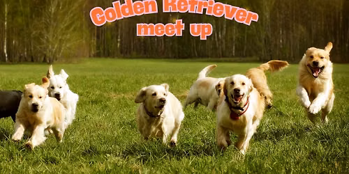 Golden Meet Up