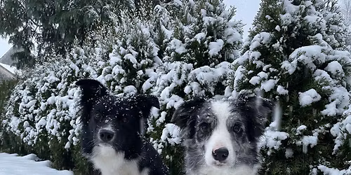 Beskydox klubov\u00e9 z\u00e1vody III.\u2744\ufe0f