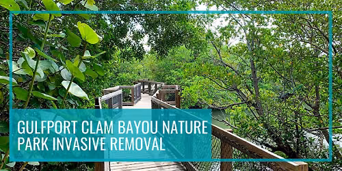Clam Bayou Nature Park Invasive Removal