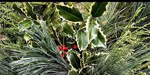 Holiday Wreath Workshop