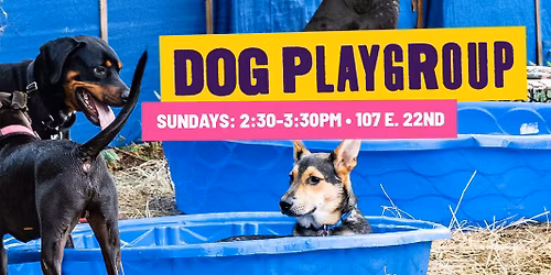 Sunday Dog Playgroup