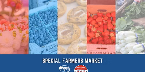 Down Home Fourth of July: Farmers Market