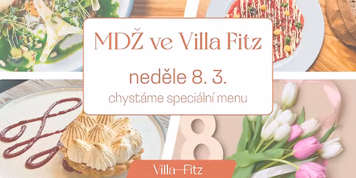 MD\u017d ve Villa Fitz