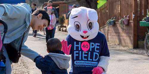 Easter School Holidays at the Sanctuary