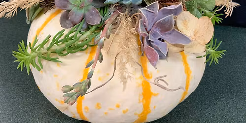 Succulent Pumpkin DIY Class!! ~BACK BY POPULAR DEMAND~**Saturday, October 11th**