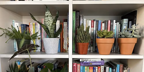 Plant Bingo