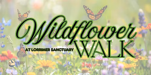 Wildflower Walk