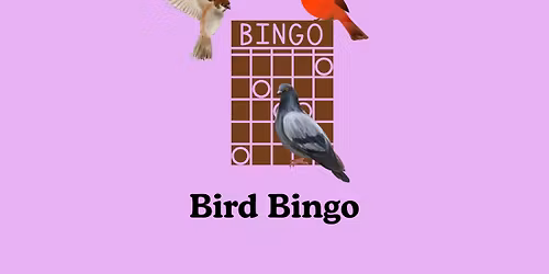 Bird Bingo