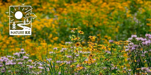 Nature Rx | Rooted & Blooming Retreat