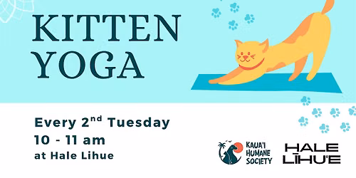 Kitten Yoga with Kauai Humane Society at Hale Lihue