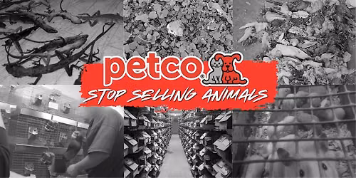 Protest Petco to Stop Selling Animals