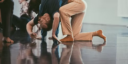 Listening to the Dance. Bristol. 
