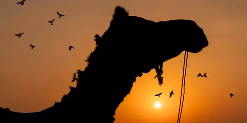 PhotoFest | Storytelling for Traveling Photographers with David Julian