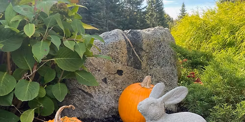 Murder Mystery Dinner Theater