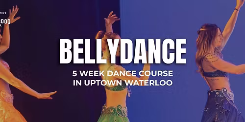 Bellydance Beginner (Weekly Course)
