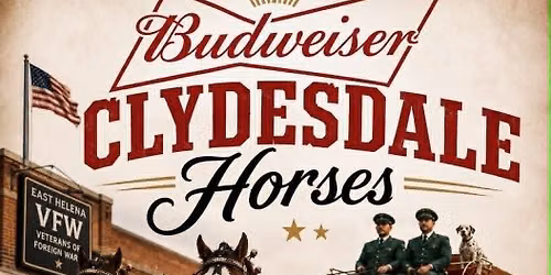 Budweiser Clydesdale's