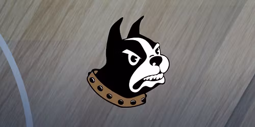 Parking King Tornado at Wofford Lady Terriers Womens Basketball