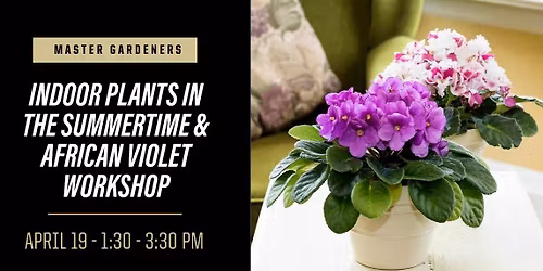 Indoor Plants in the Summertime & African Violet Workshop