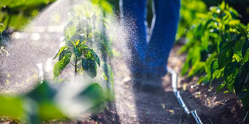 Initial Private Pesticide Applicator Training and Exam