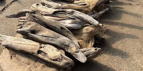 Driftwood Den Open Day 