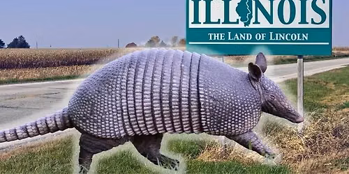 Swift Armadillos: Neo-Natives Herald the Dispersal of Heir Creeping Parasites