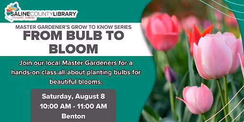 From Bulb to Bloom