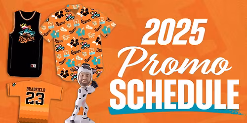 Erie SeaWolves at Chesapeake Baysox