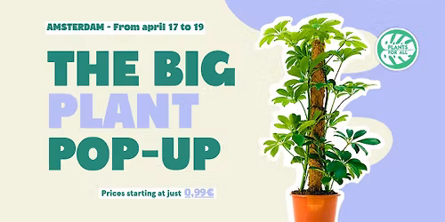 The Big Plant Pop-up - Amsterdam