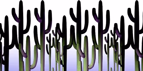 The Science of Consciousness - 32nd annual