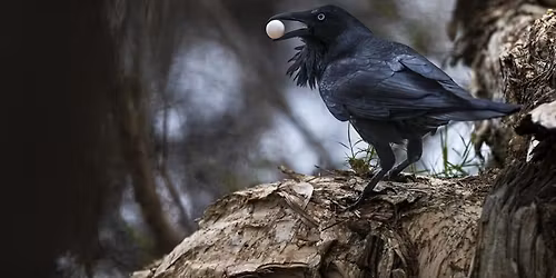 Street Photography Meetup