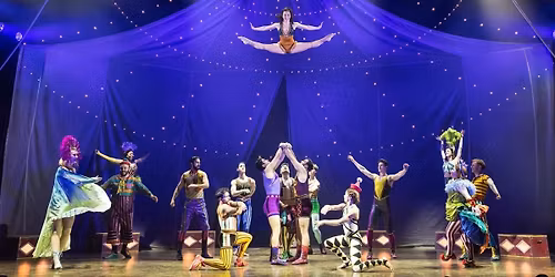 Water for Elephants - The Musical