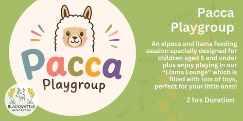Pacca Plyagroup