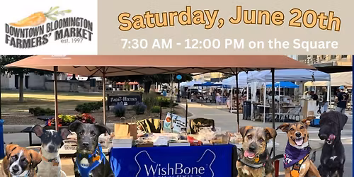 Dog Day at The Farmer's Market