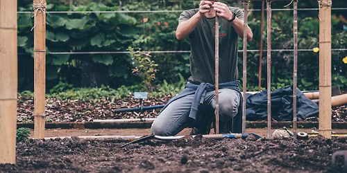 Be a gardener for a day - Workshop | Byddwch yn arddwr am ddiwrnod - Gweithdy
