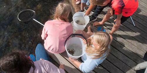 Barnas museum p\u00e5 Granholmen: Vi utforsker livet i havet