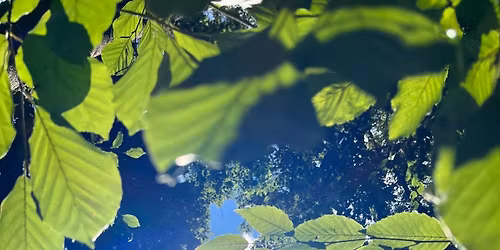 Formation en g\u00e9obiologie: " Harmonisation des lieux"