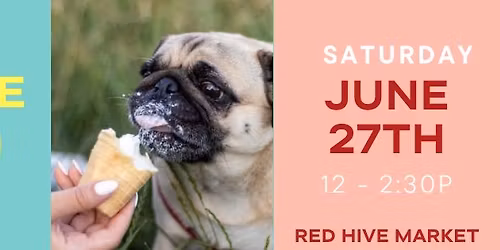 Doggie Ice Cream Social
