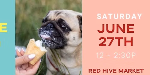 Doggie Ice Cream Social