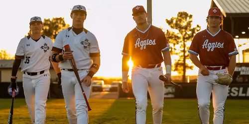 Parking Bellarmine Knights at Georgia Bulldogs Mens Basketball