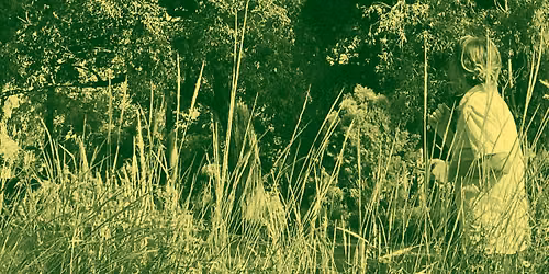 Design X Nature: Workshop - Nature Journaling in the Drylands