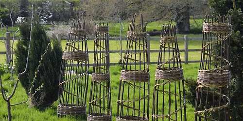 Plant Support Willow Weaving Workshop