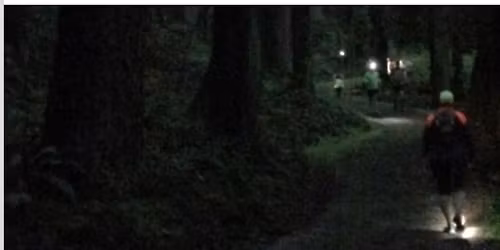 Vampire Run (For Those Who Shun The Sun)