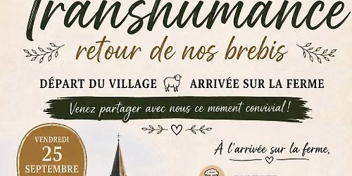 Transhumance : Retour de nos brebis