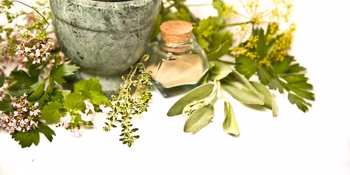 Medicine Making Weekend Series, Day 2