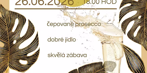 Koncert v parku