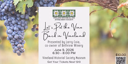 Let's Put the Vine Back in Vineland with Larry Coia of Bellview Winery
