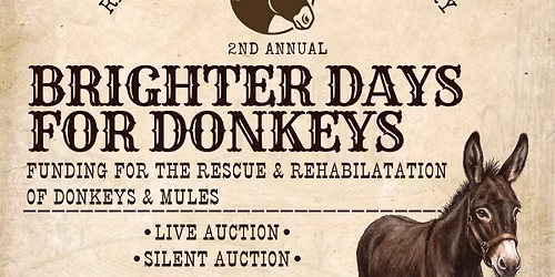 Brighter Days For Donkeys 