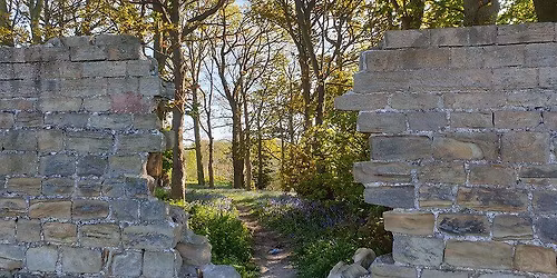Curator talk: 200 years of Waterton's Wall