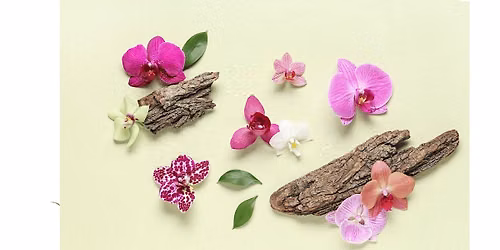 Plant Cutting Swap & Social