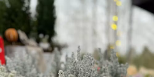 Rekolan Joulumarkkinat 15.11.2025